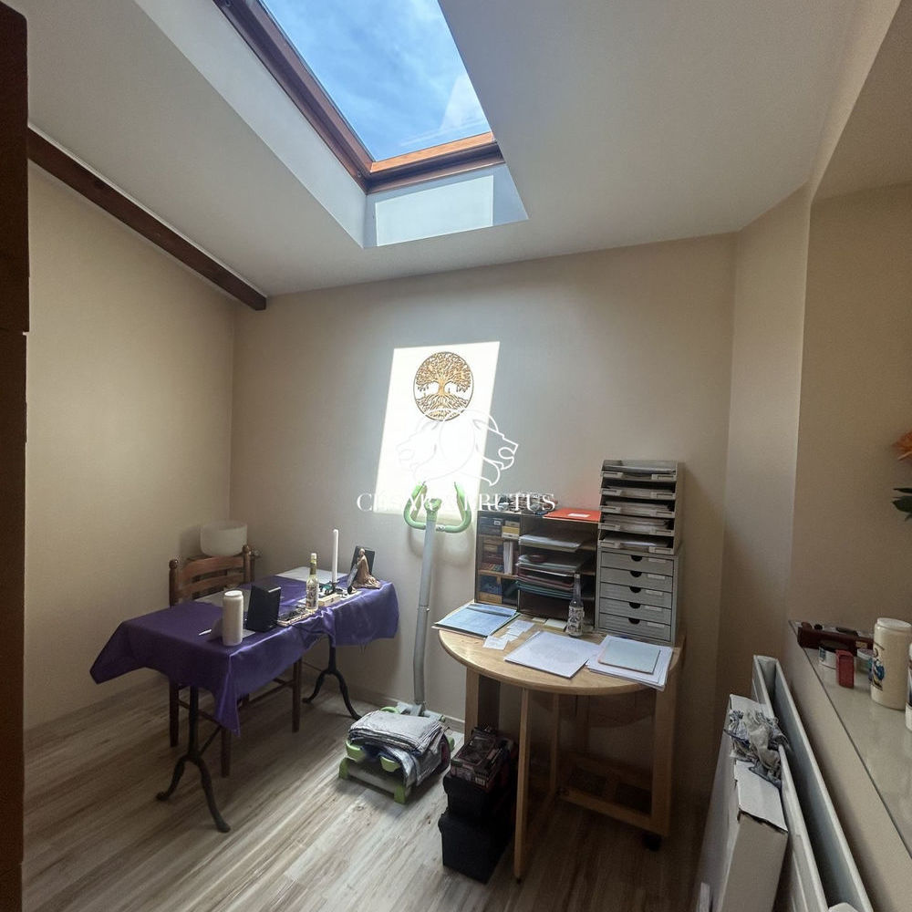 � vendre  Maison Villeurbanne (69100)