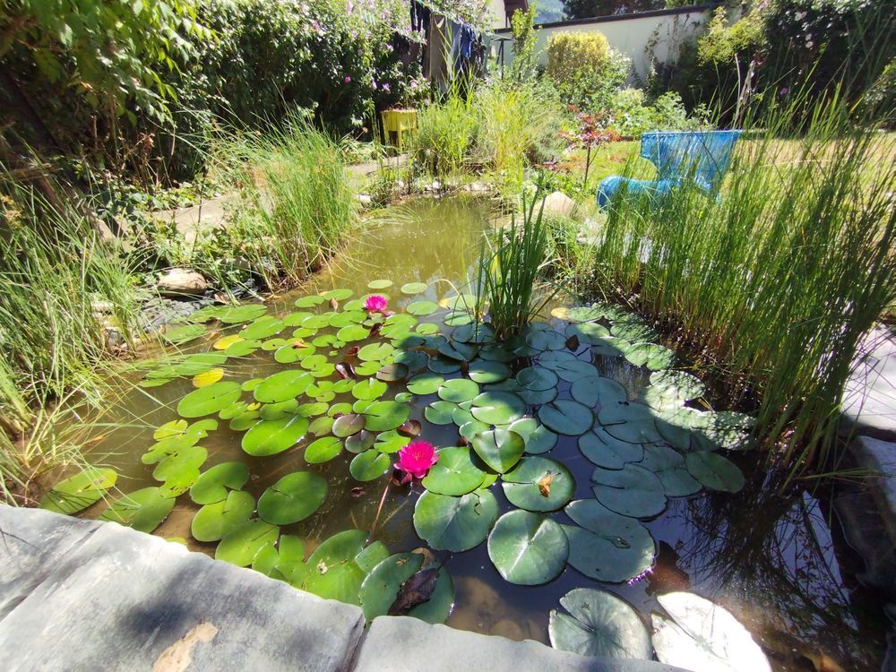 � vendre  Maison Gaillard (74240)