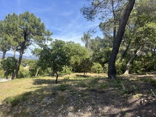  Terrain � vendre 8590 m�