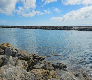  Appartement � vendre 3 pi�ces 51 m�