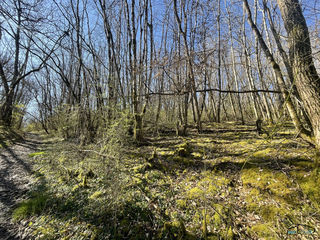  Terrain � vendre 3498 m�