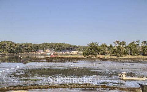   VUE IMPRENABLE SUR LA MER Appartement - 4 pi�ce(s) - 77 m�