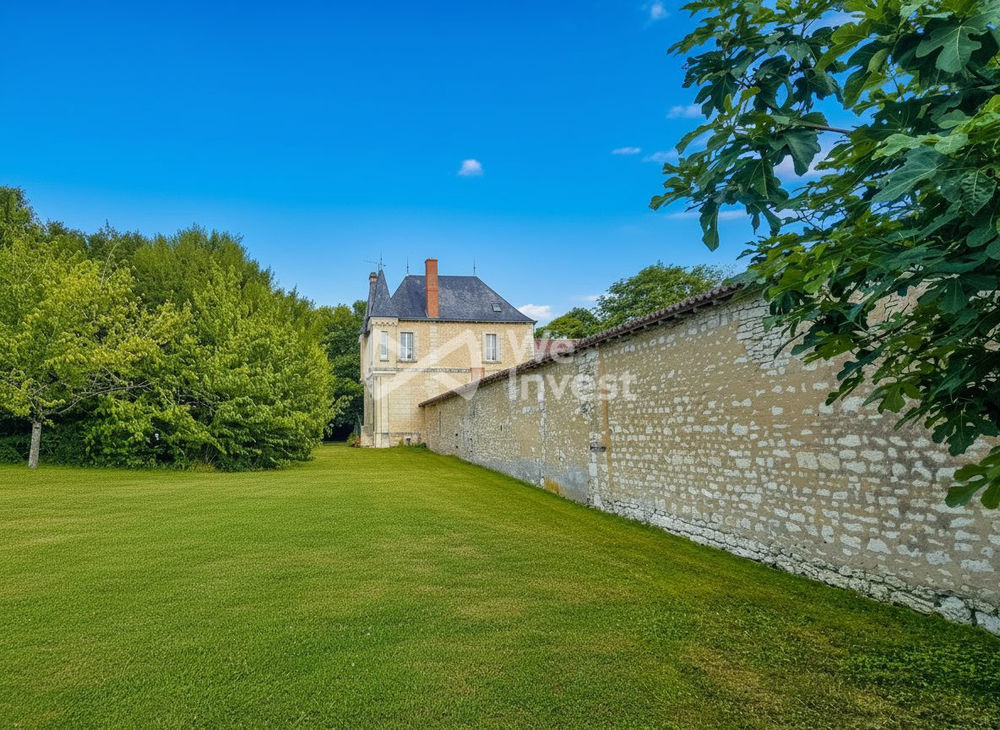 � vendre  Propri�t�/ch�teau Faye-la-Vineuse (37120)