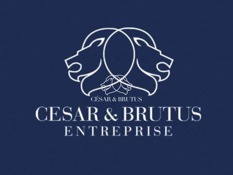 CESSION DE DROIT AU BAIL � LYON 1er � SECTEUR H&Ocirc;TEL DE VILL 16800 69001 Lyon