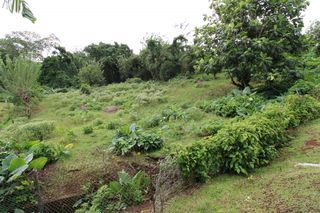  Terrain � vendre 4182 m�