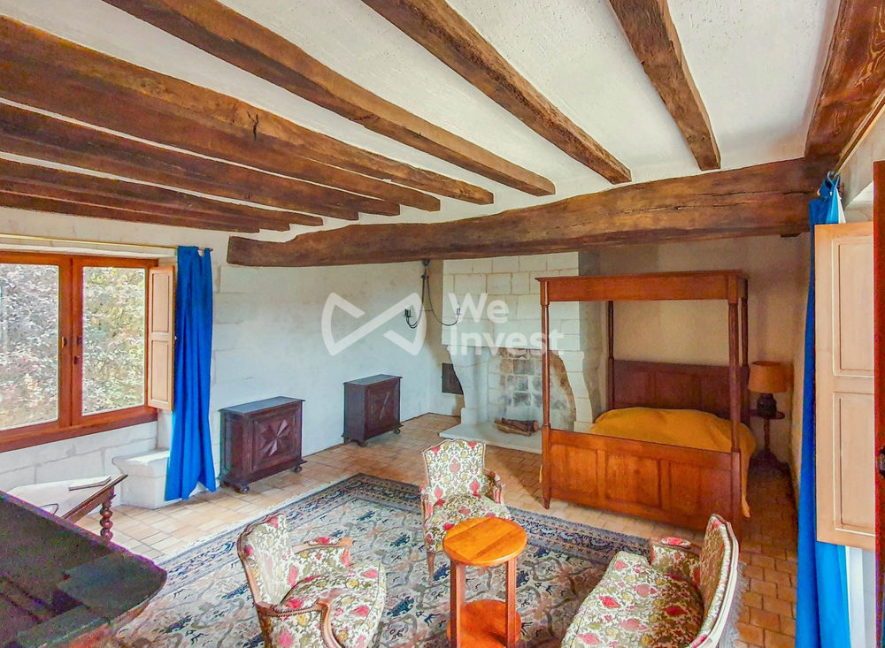 � vendre  Propri�t�/ch�teau Faye-la-Vineuse (37120)