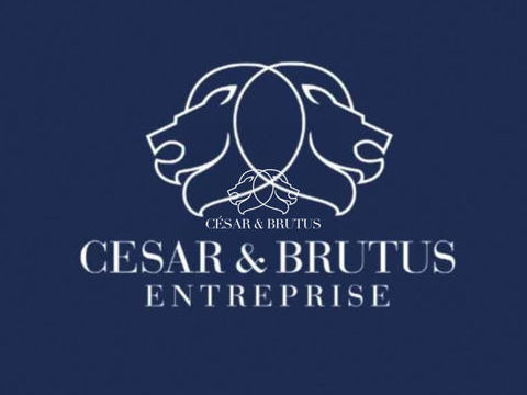 CESSION DE DROIT AU BAIL � LYON 1er � SECTEUR H&Ocirc;TEL DE VILL 16800 69001 Lyon