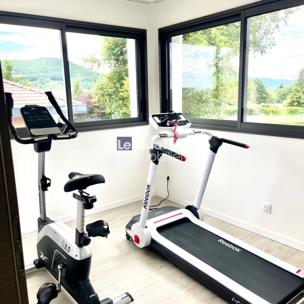 � vendre  Maison Villy-le-Pelloux (74350)