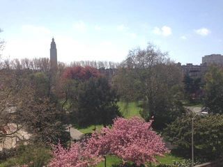  Appartement � louer 3 pi�ces 75 m�