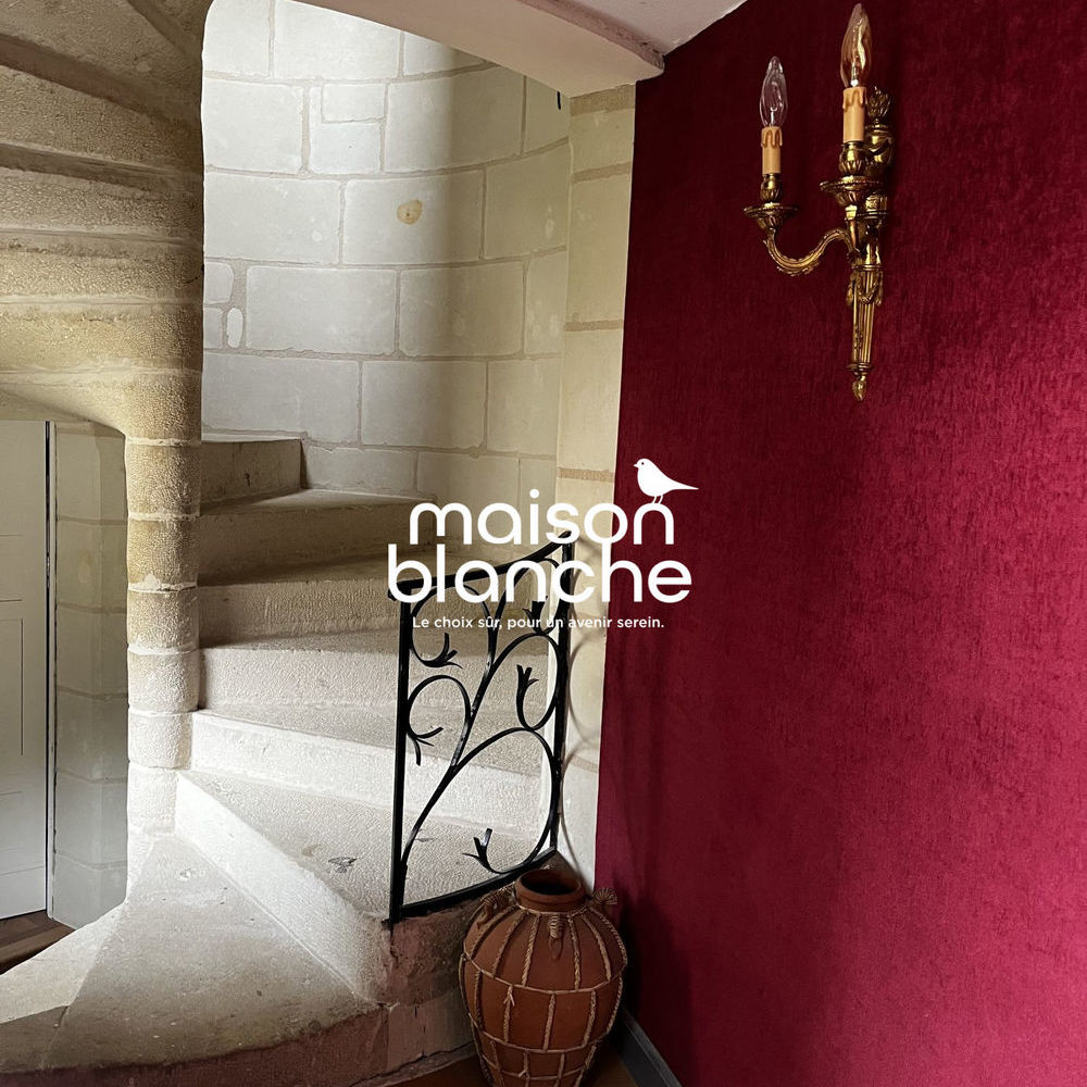 � vendre  Propri�t�/ch�teau Saumur (49400)