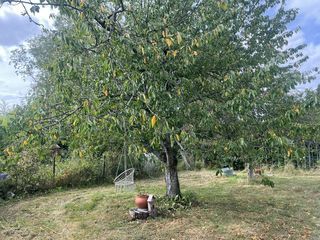  Maison � vendre 5 pi�ces 130 m�