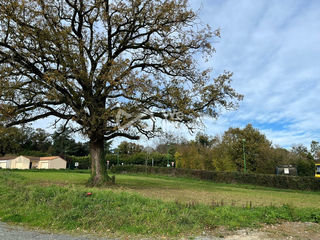  Terrain � vendre 503 m�