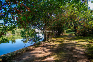  Appartement � vendre 5 pi�ces 167 m�