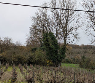  Terrain � vendre 780 m�