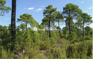  Maison � vendre 5 pi�ces 154 m�