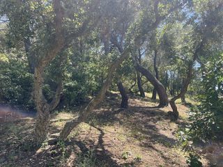  Terrain � vendre 8590 m�