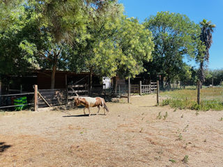  Maison � vendre 6 pi�ces 160 m�