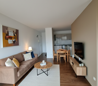  Appartement � louer 1 pi�ce 36 m�