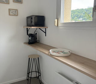  Appartement � louer 1 pi�ce 32 m�