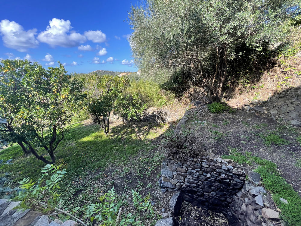 � vendre  Maison Lumio (20260)