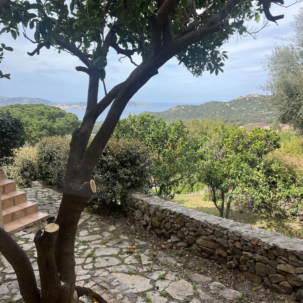 � vendre  Maison Lumio (20260)