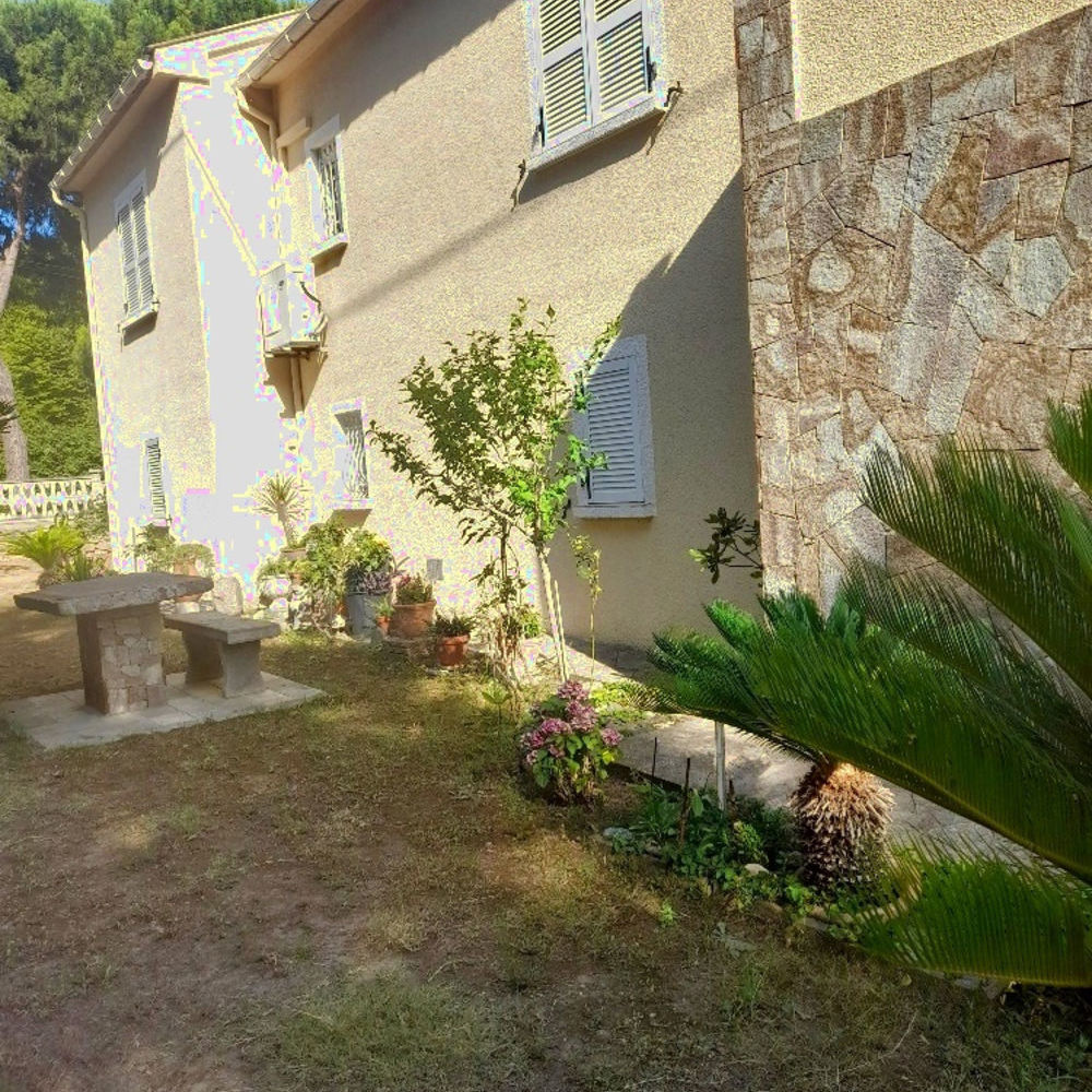 � vendre  Maison Patrimonio (20253)