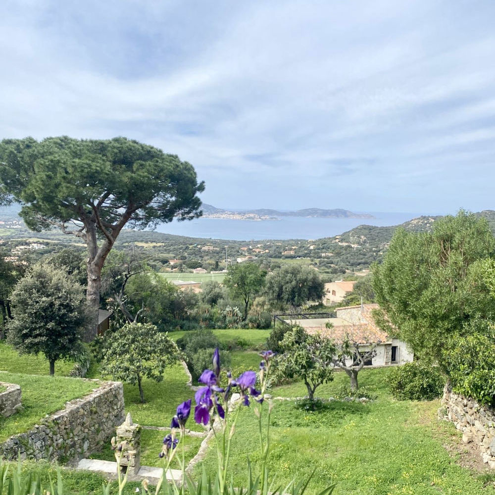 � vendre  Maison Lumio (20260)