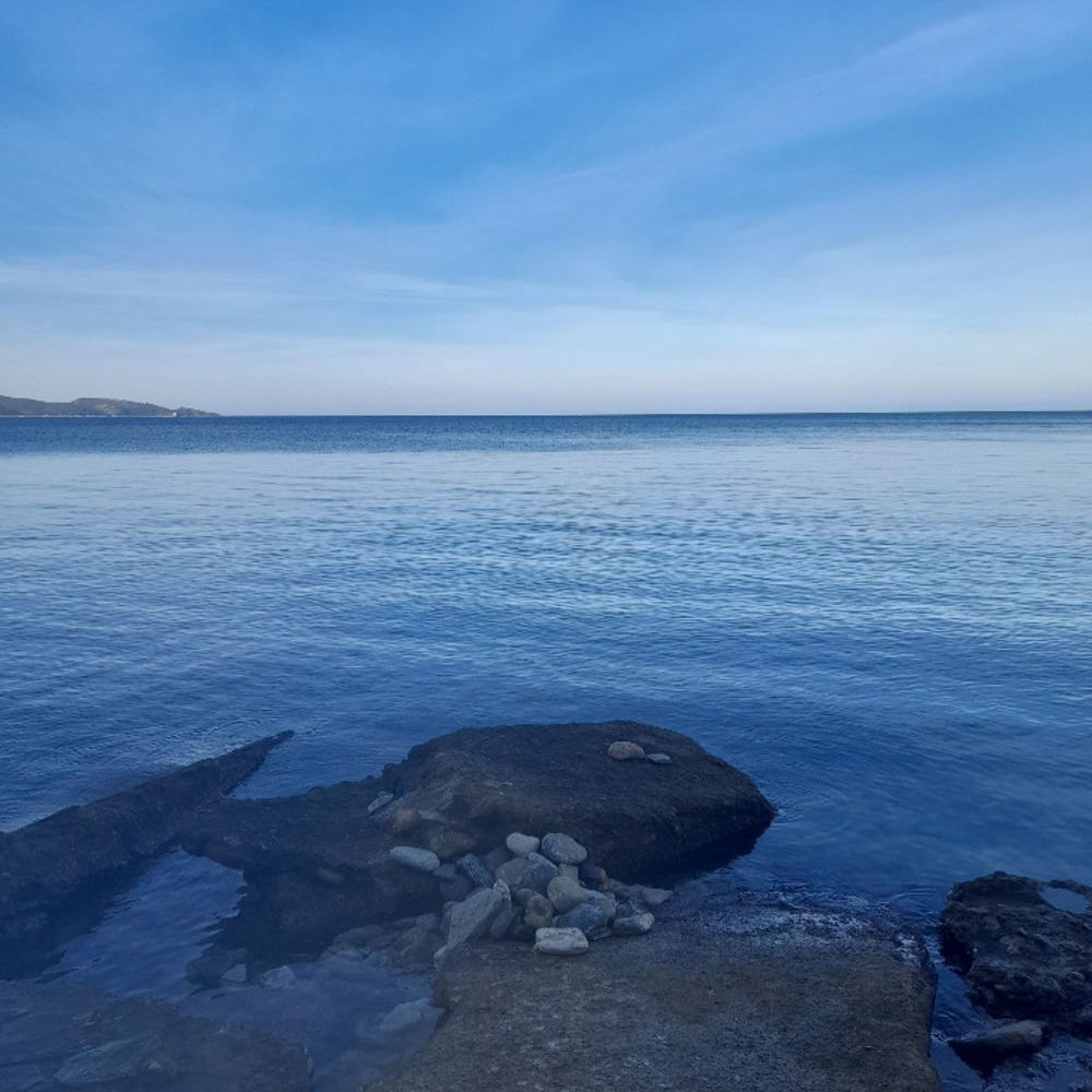 � vendre  Duplex/triplex Saint-Florent (20217)