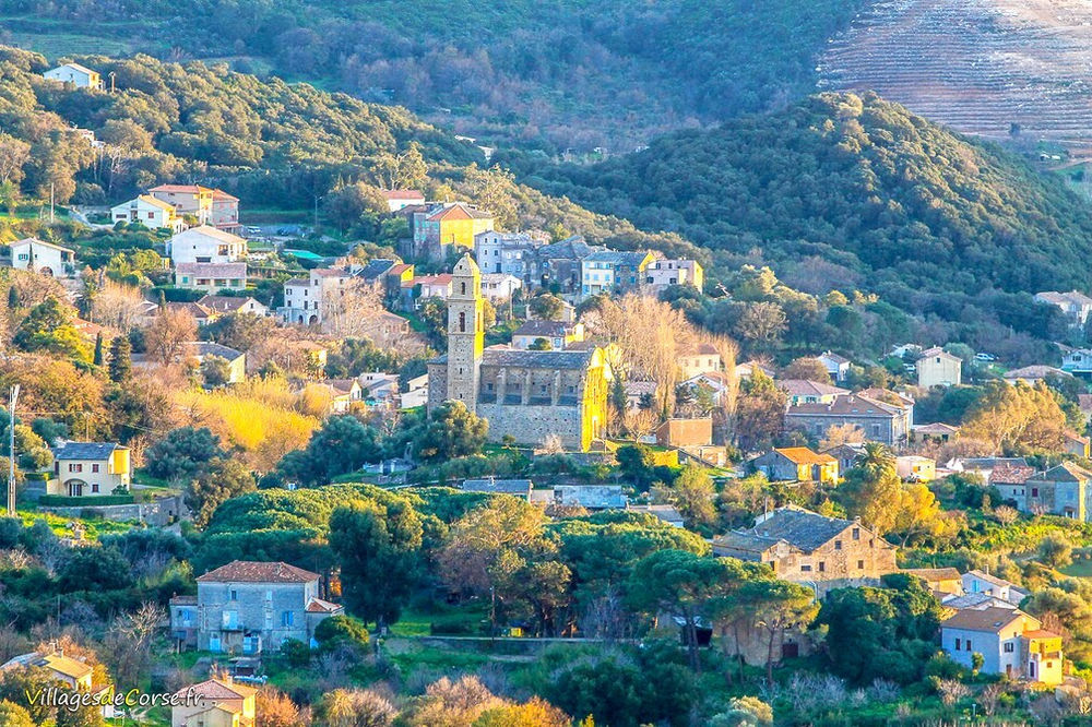 � vendre  Maison Patrimonio (20253)