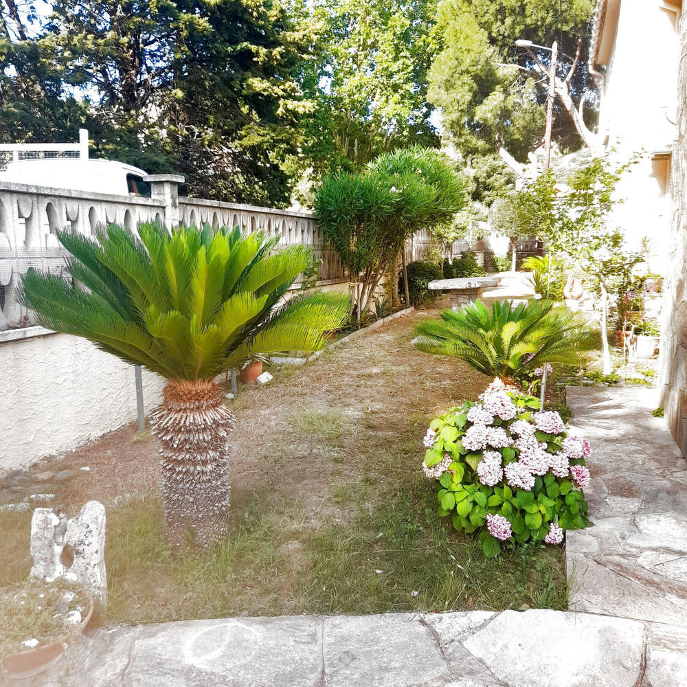 � vendre  Maison Patrimonio (20253)