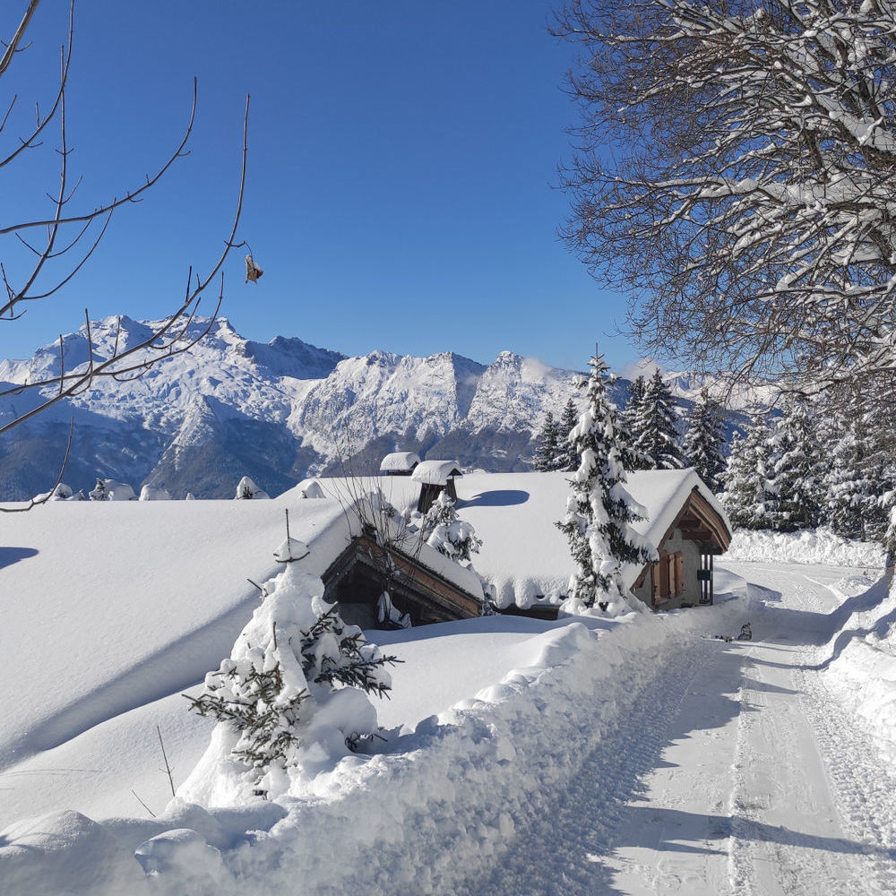 � vendre  Appartement Manigod (74230)