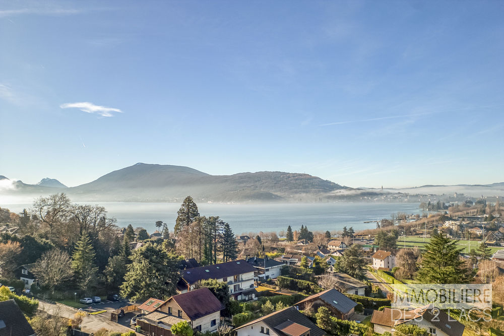 � vendre  Propri�t�/ch�teau Annecy-le-Vieux (74940)