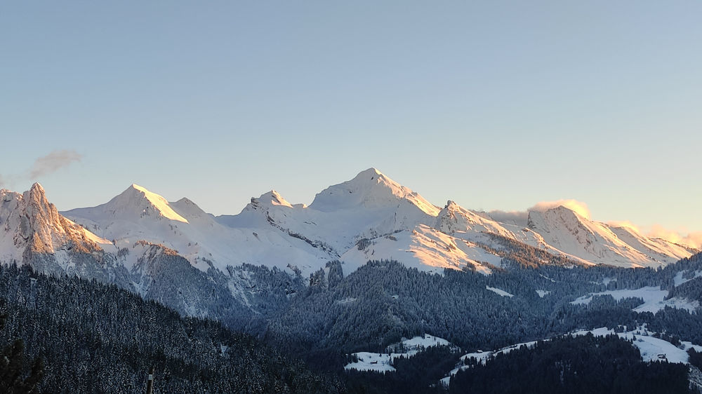 � vendre  Appartement Manigod (74230)