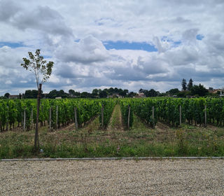  Appartement � louer 2 pi�ces 40 m�