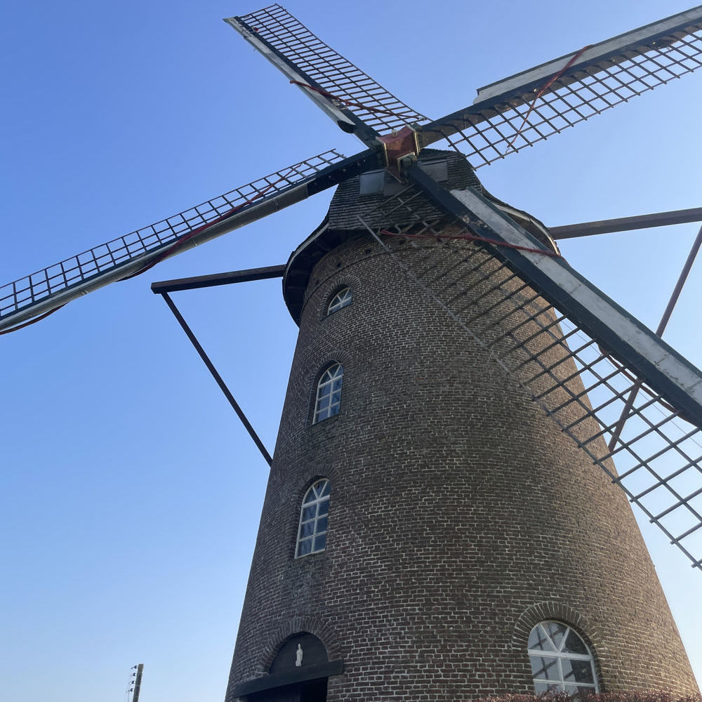 � vendre  Maison Terdeghem (59114)