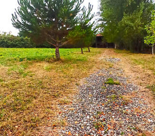  Maison � vendre 1 pi�ce 250 m�