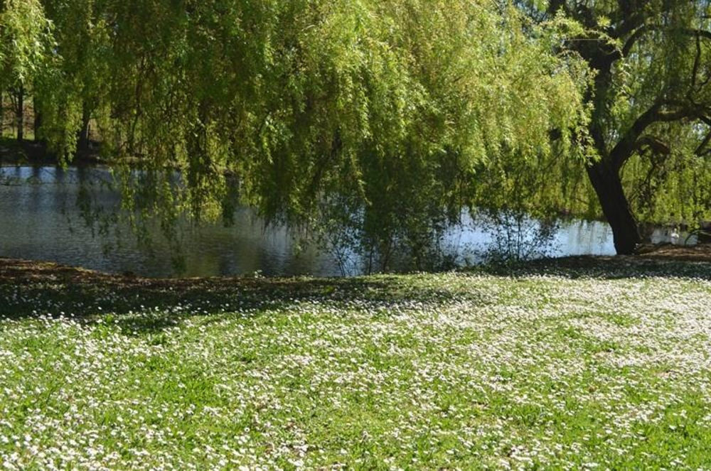 � vendre  Maison Villeneuve-sur-Lot (47300)