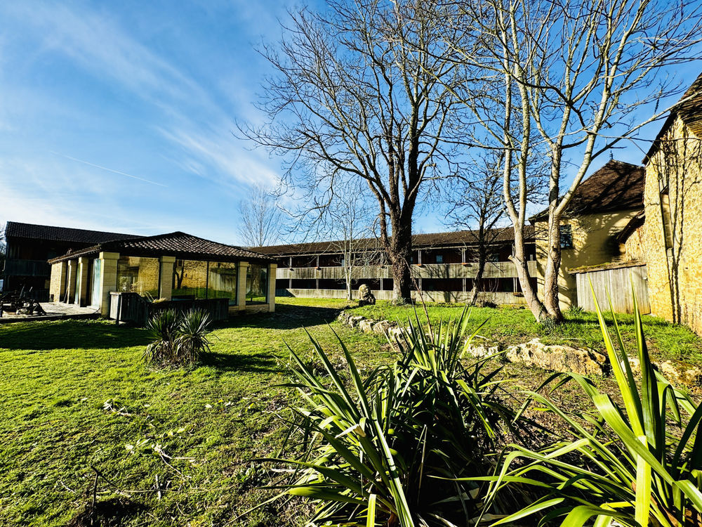 � vendre  Propri�t�/ch�teau Montignac (24290)