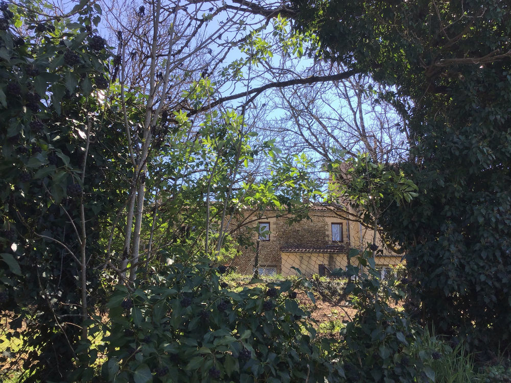 � vendre  Maison Les Eyzies-de-Tayac-Sireuil (24620)