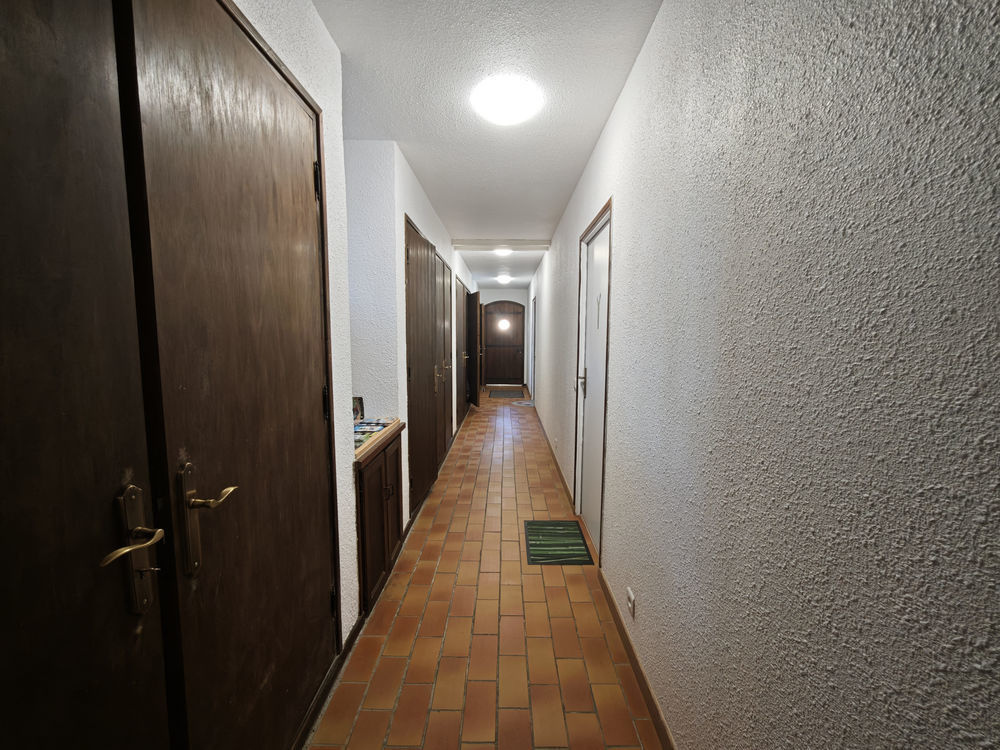 � vendre  Propri�t�/ch�teau Ortaffa (66560)