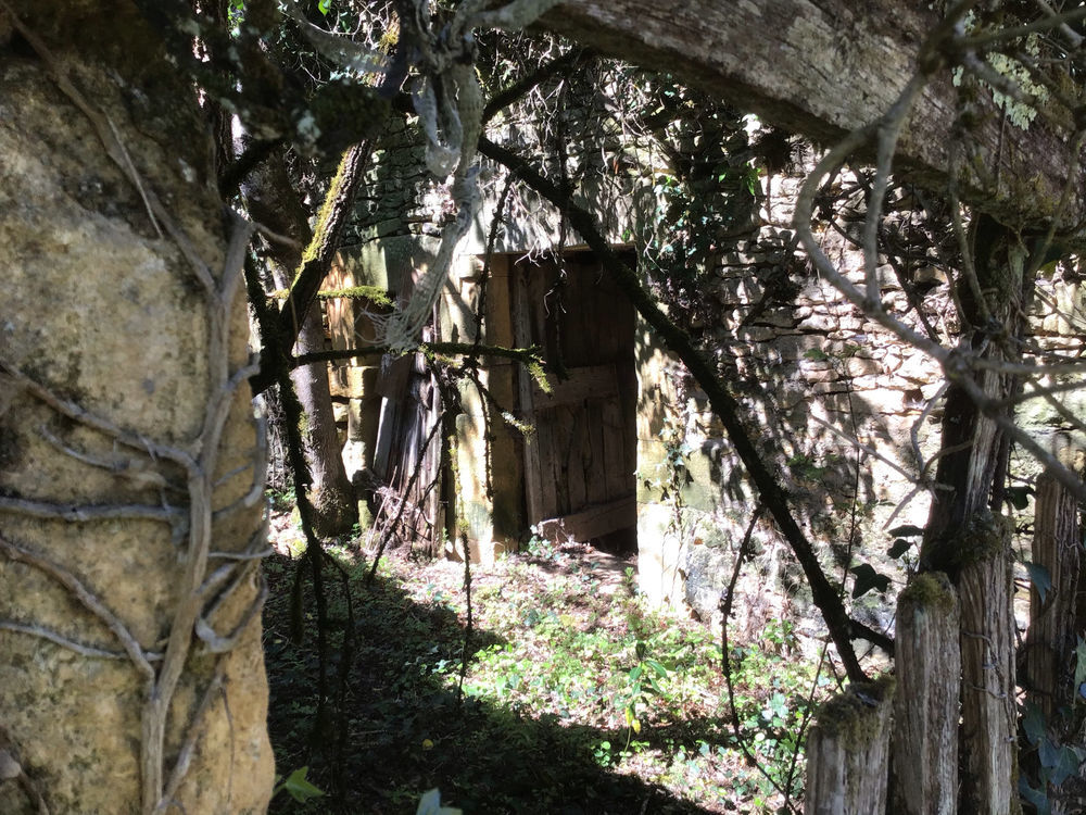 � vendre  Maison Les Eyzies-de-Tayac-Sireuil (24620)