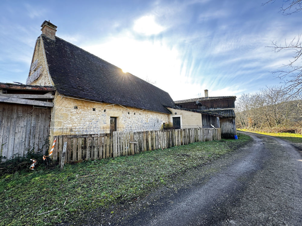 � vendre  Propri�t�/ch�teau Montignac (24290)