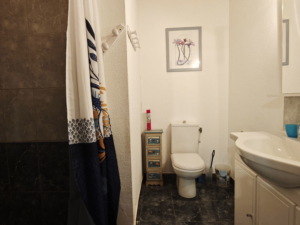 � vendre  Propri�t�/ch�teau Ortaffa (66560)