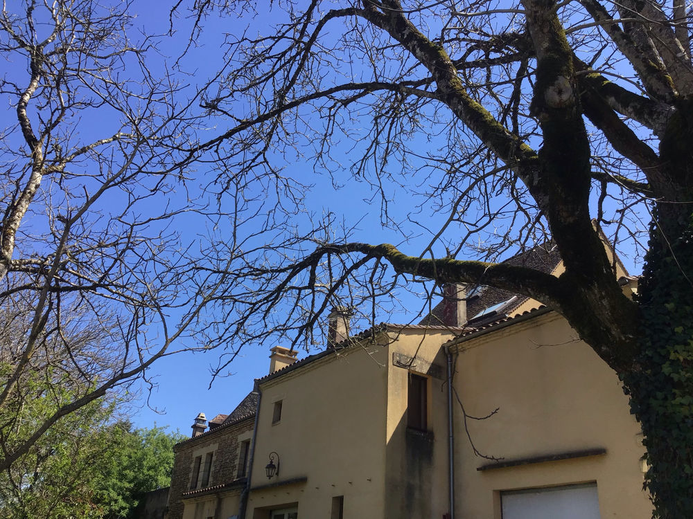 � vendre  Maison Les Eyzies-de-Tayac-Sireuil (24620)