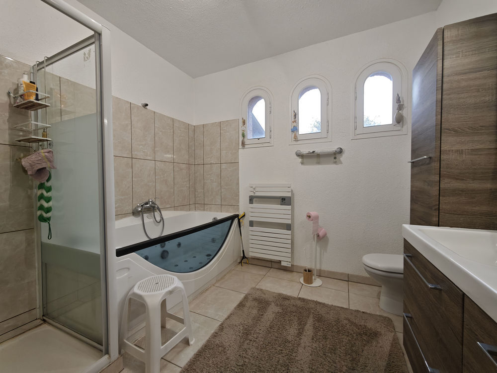 � vendre  Propri�t�/ch�teau Ortaffa (66560)