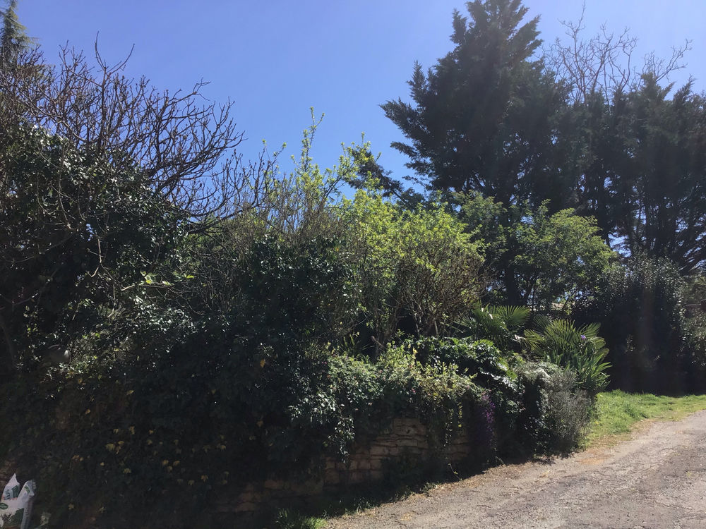 � vendre  Maison Les Eyzies-de-Tayac-Sireuil (24620)