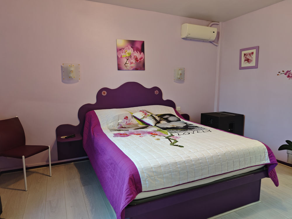 � vendre  Propri�t�/ch�teau Ortaffa (66560)