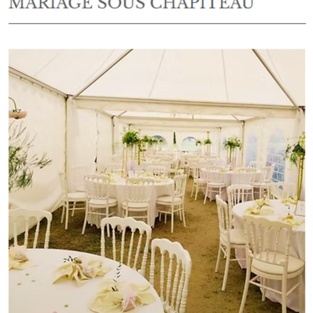 � vendre  Propri�t�/ch�teau Sarlat-la-Can�da (24200)