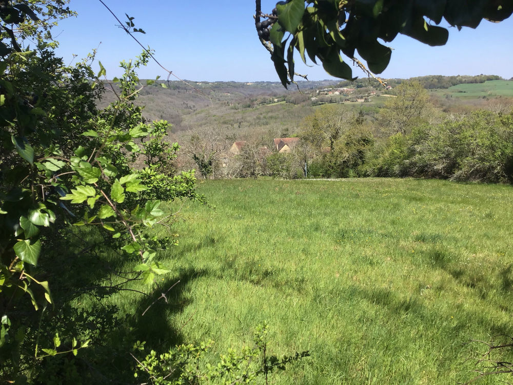 � vendre  Maison Les Eyzies-de-Tayac-Sireuil (24620)