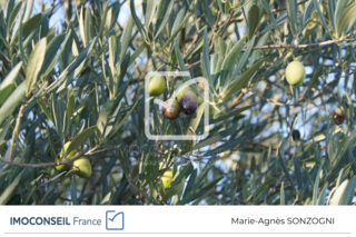  Terrain � vendre 5359 m�